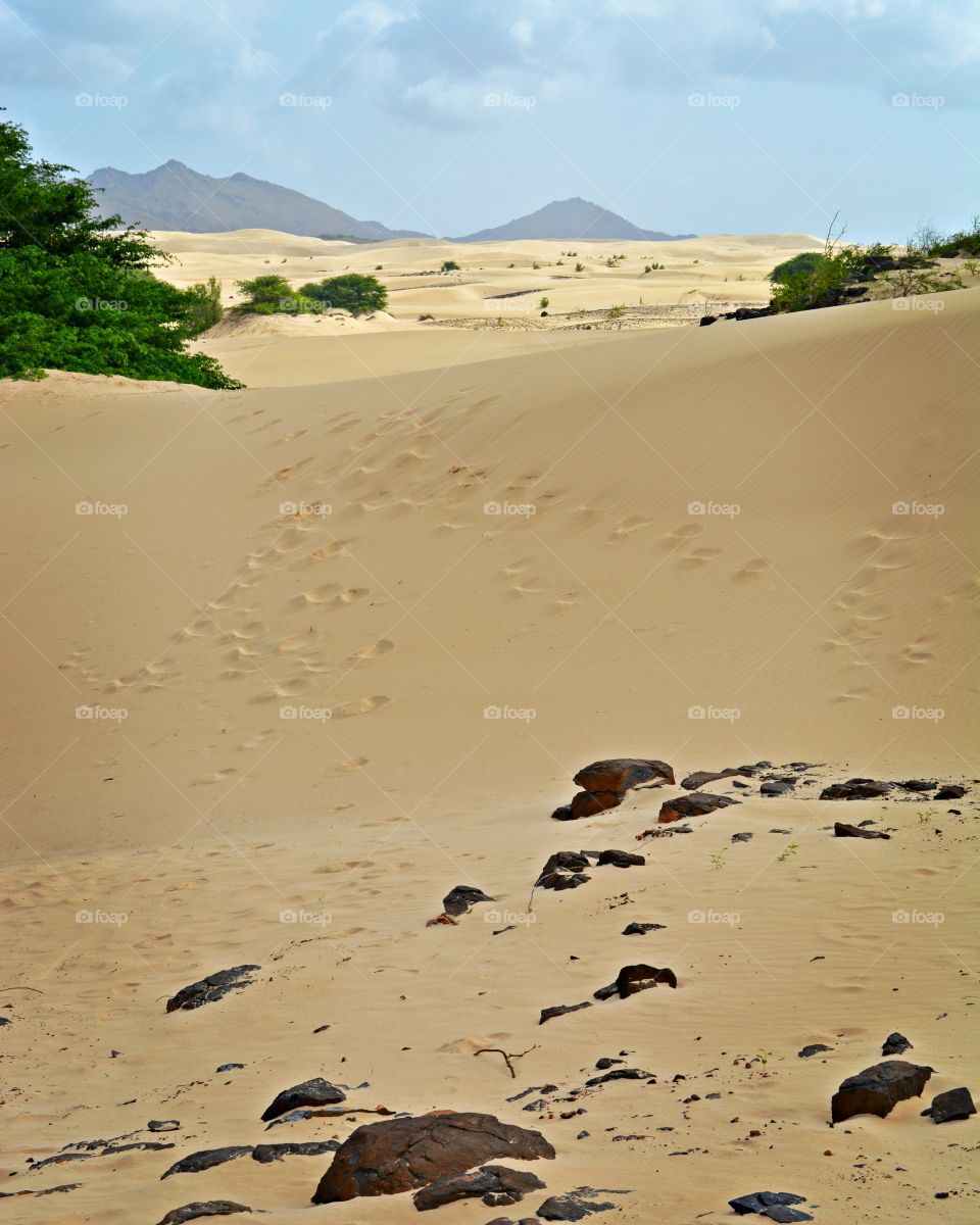 dunes in Boa vista, desert with cold sand