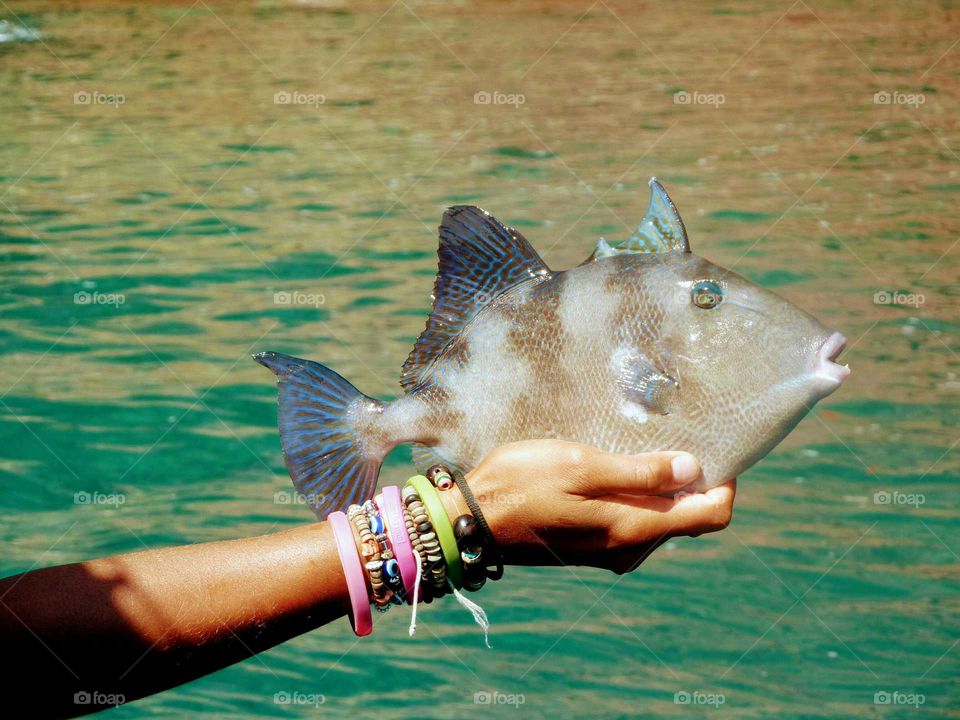 fish, hold by a woman, with the sea in the background