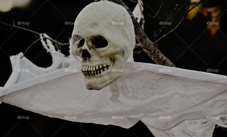 scary skeleton