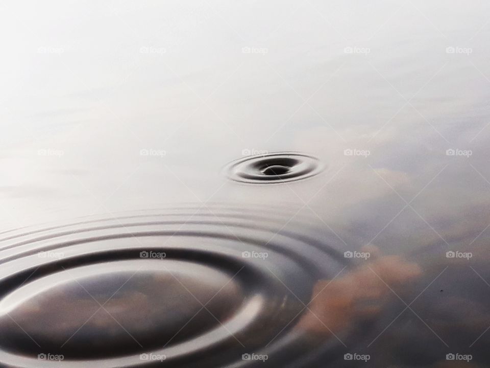 water in motions - rain drops