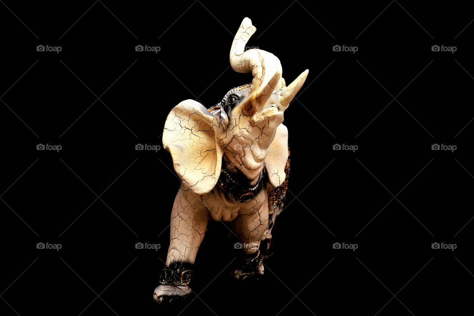 elephant in a dark background