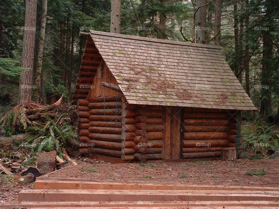 wood house