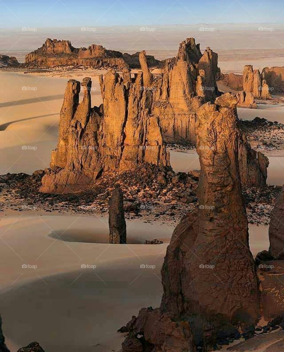 The golden desert of Algeria