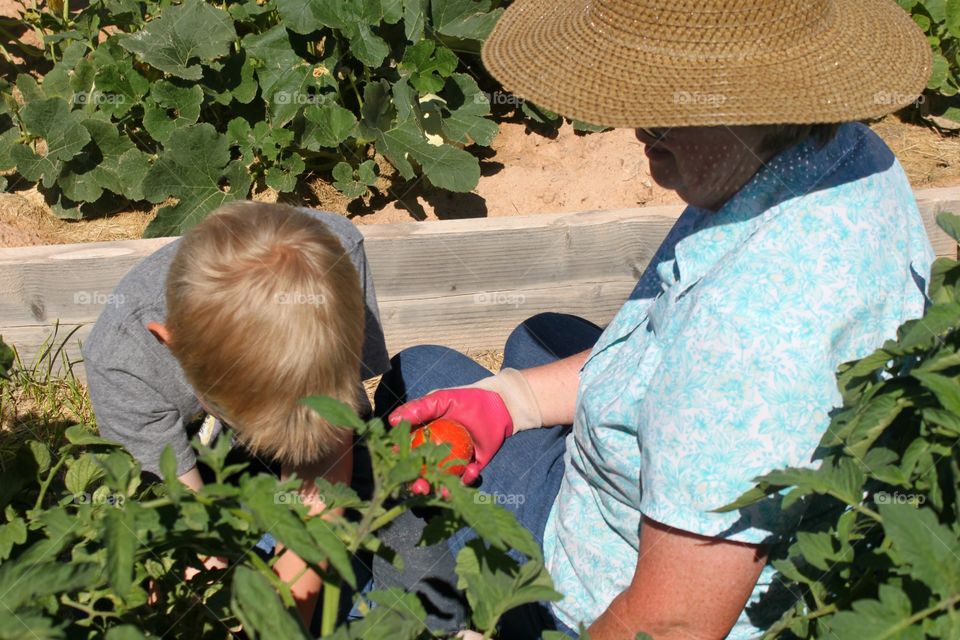 Gardening with Grandma