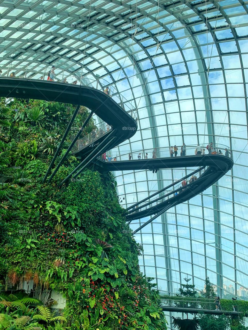 Rectangle in the garden