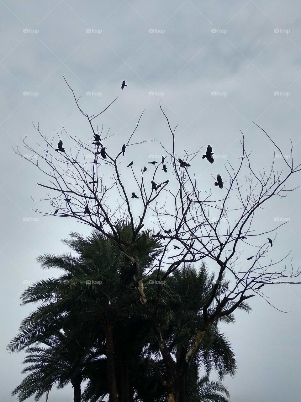 beautiful forest view