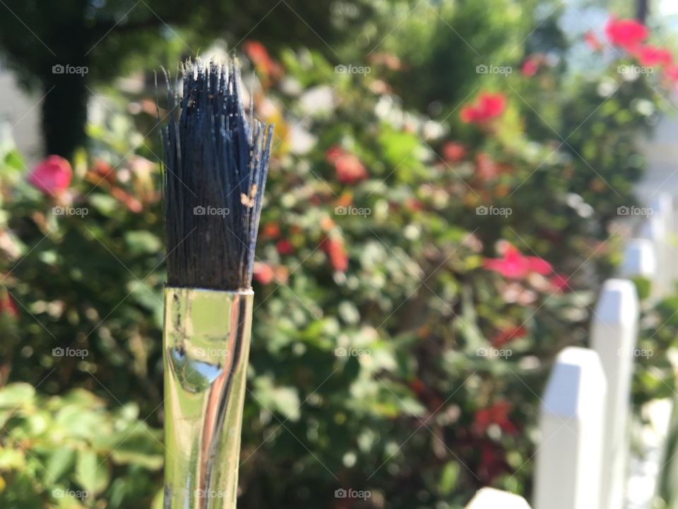 Paint brush in nature 8 with roses and picket fence