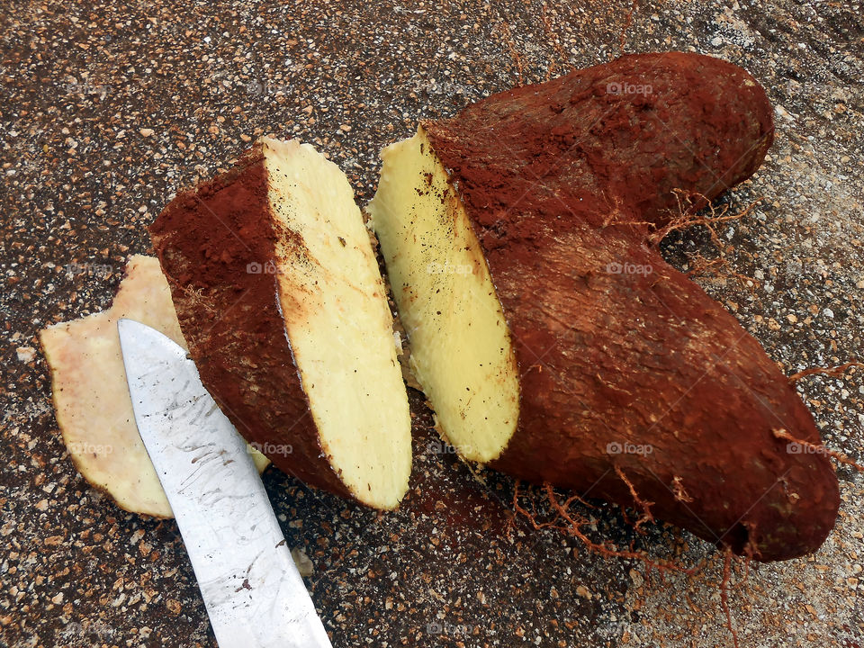 Freshly Cut Yam