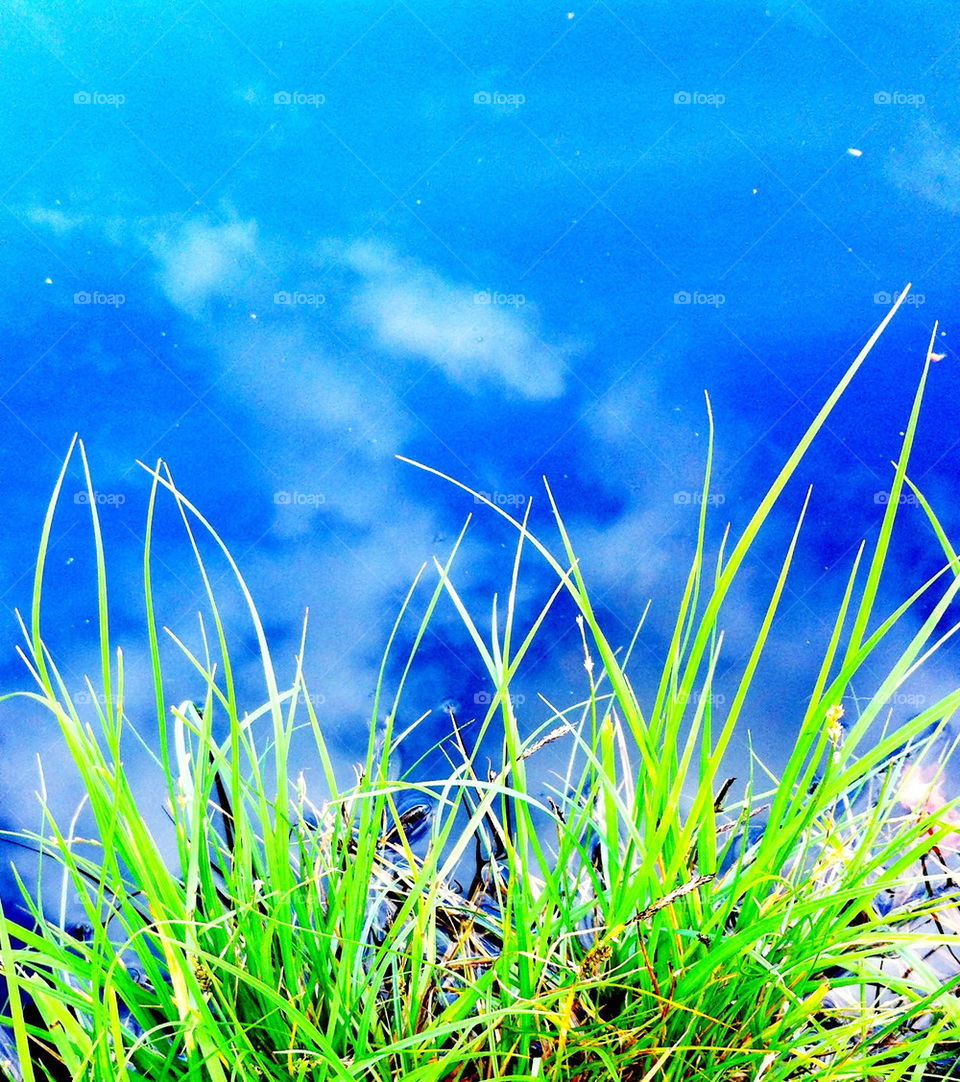 sky sweden blue grass by jempa_m