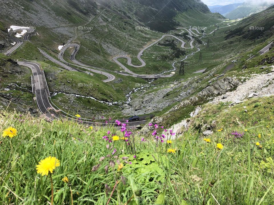 Scenic road in Carpathian Mountains