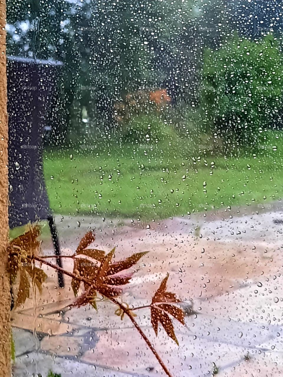 vue through the window on rainy day