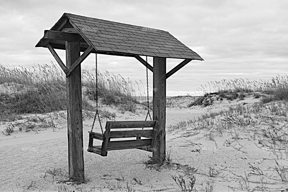 A Swing at the Beach