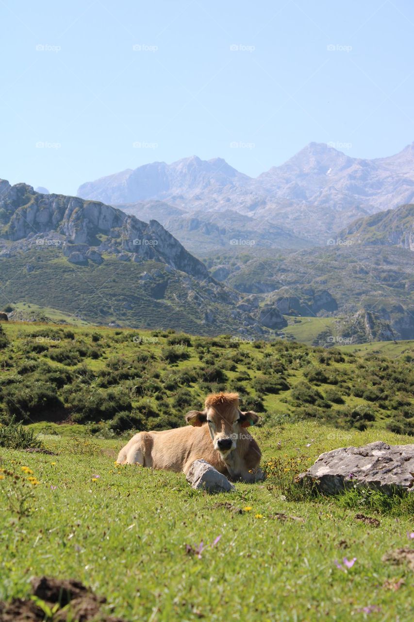 Asturias