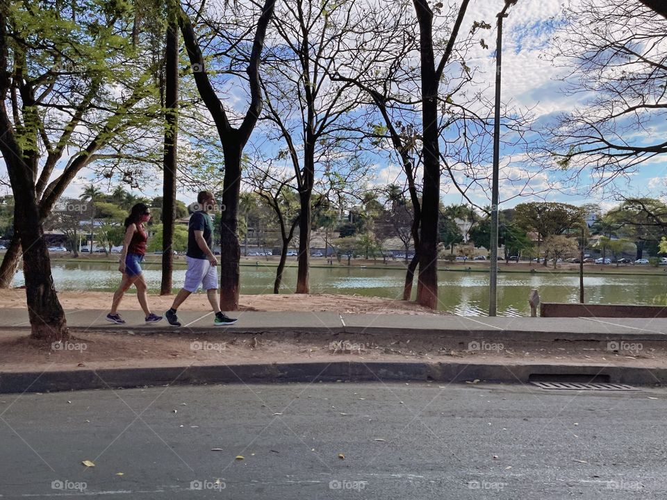 people walking in the street