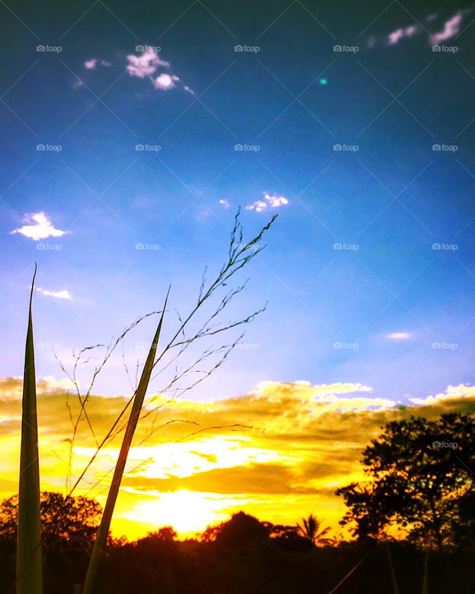 🌄🇺🇸 An extremely beautiful dawn in Jundiaí, interior of Brazil. Cheer the nature! / 🇧🇷 Um amanhecer extremamente bonito em Jundiaí, interior do Brasil. Viva a natureza! 
