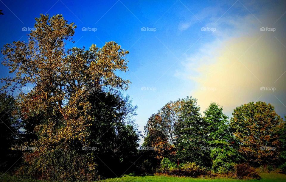 Colors "A Match Made In Heaven"