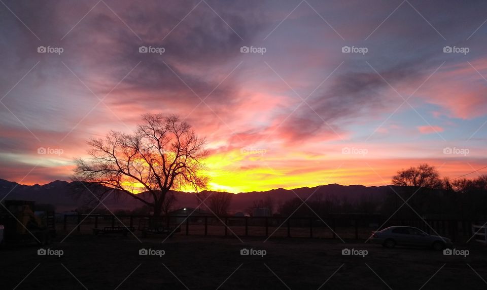 nature always wins with true beauty