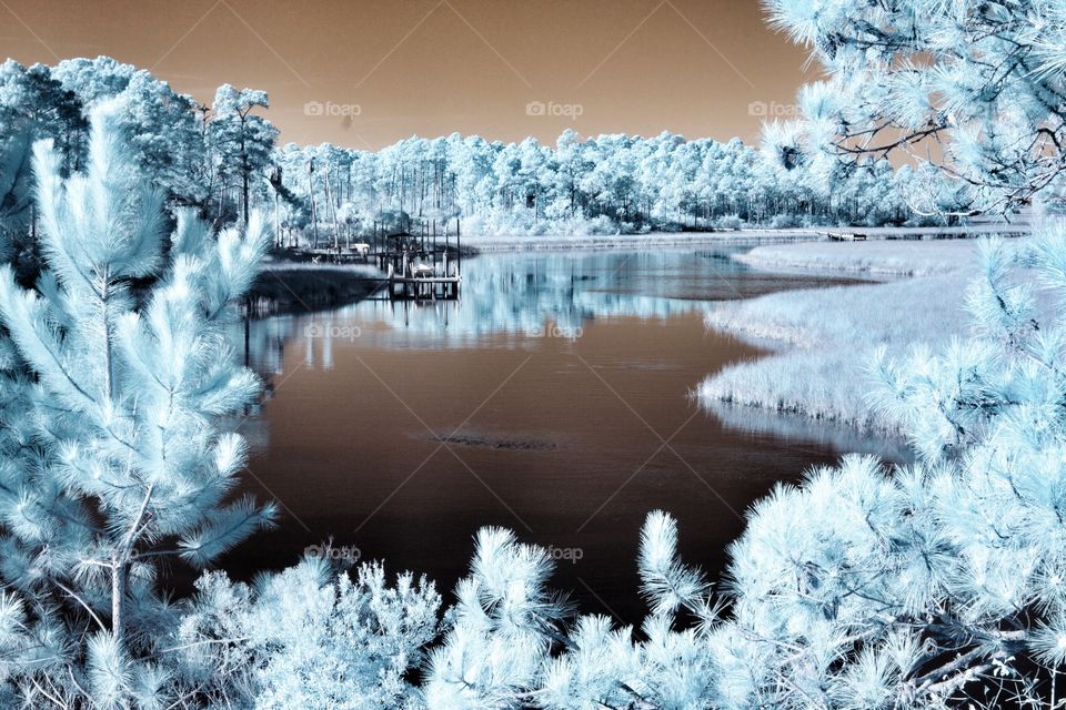 Bayou. Infrared