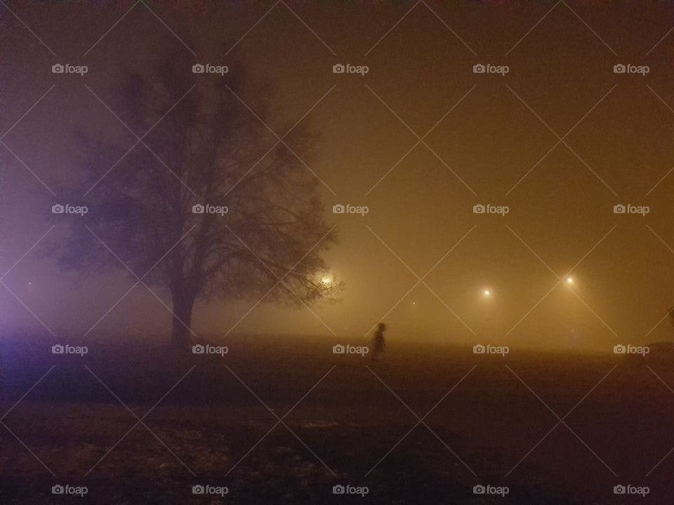 linden in fog
