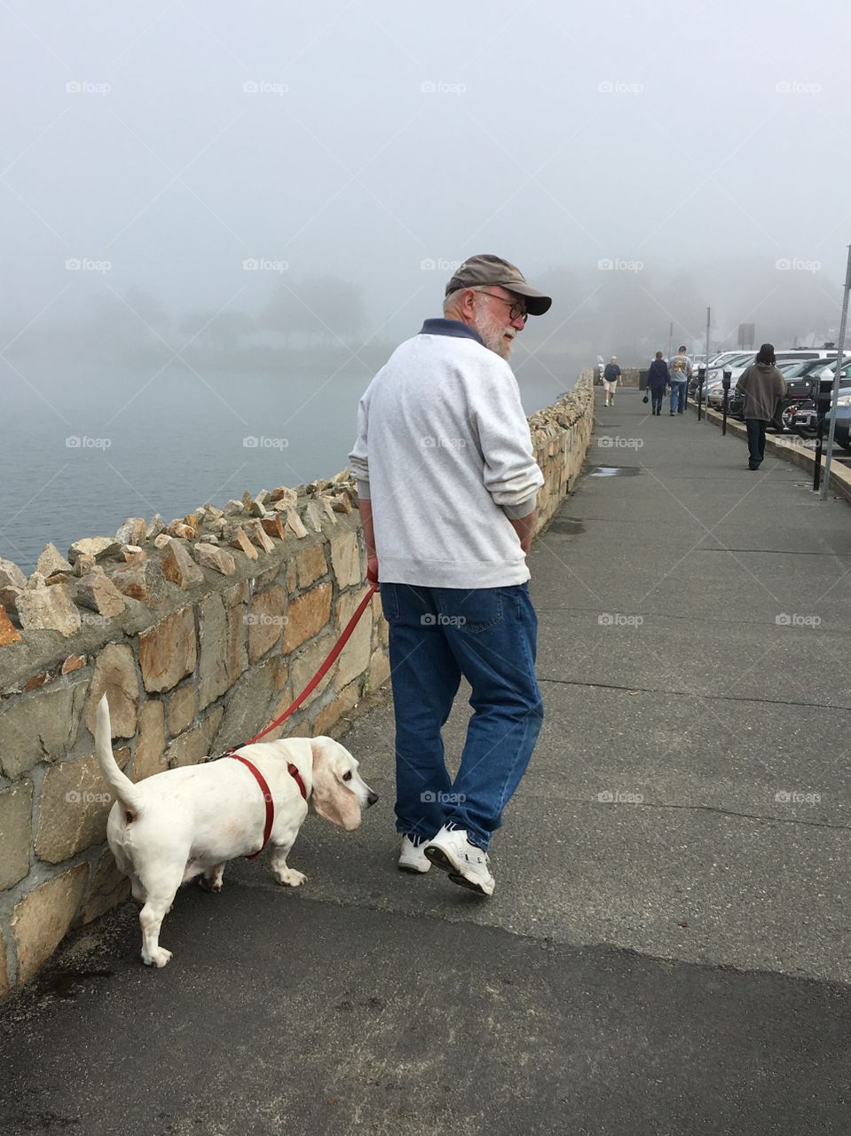 Fog along Plymouth MA beach sidewalk where man was walking his mixed breed dog!