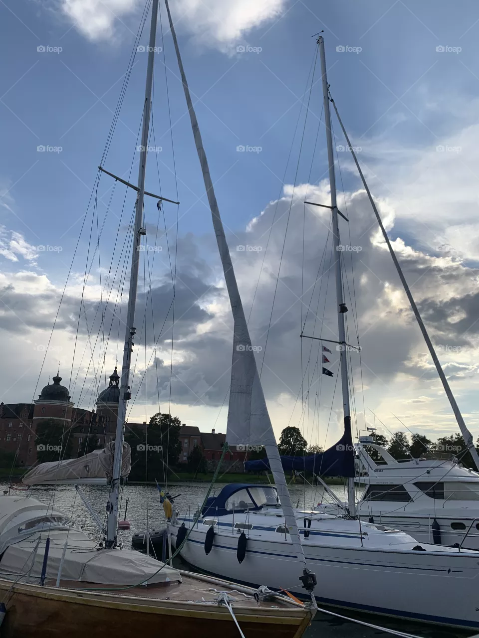 Sailboats summer evening