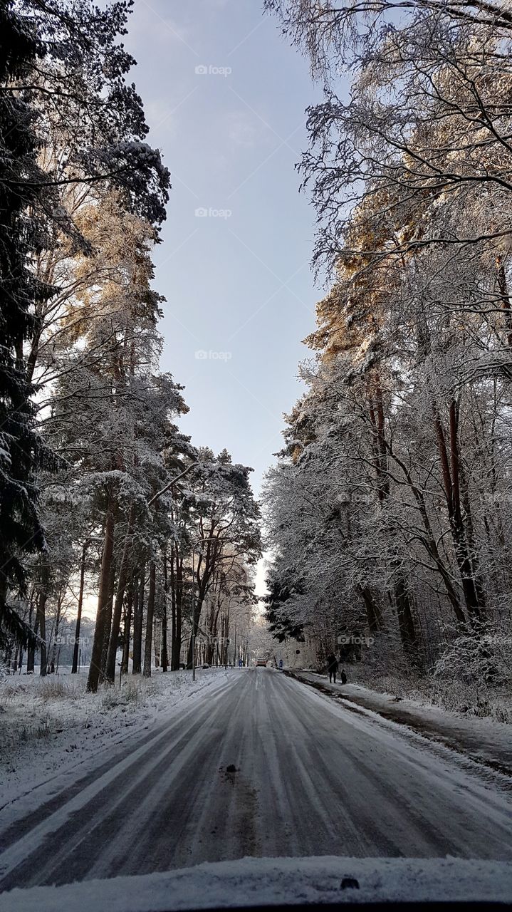 Driving on snowy road in the forest, winter - åker på snöig väg i skogen , vinter landskap