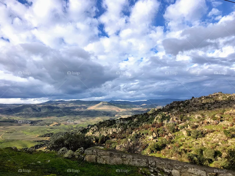 Landscape 