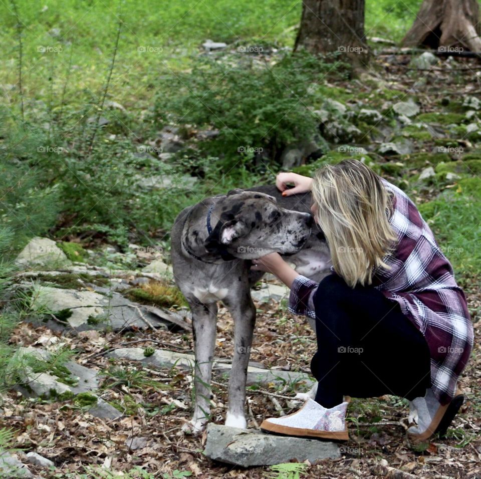 Woman getting kisses from a Great Dane/English Mastiff Mix 