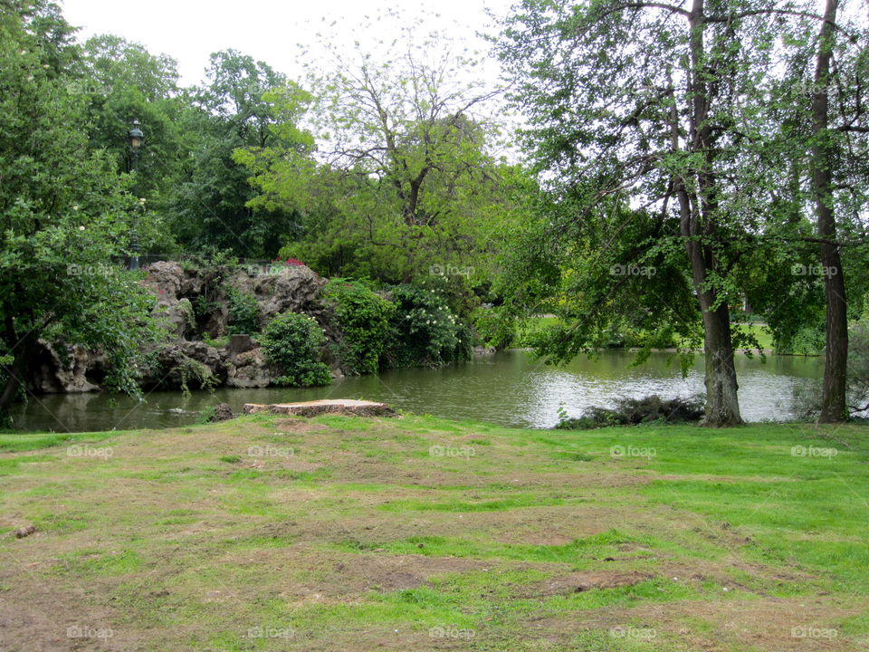 Landscape, Nature, Tree, Wood, Park