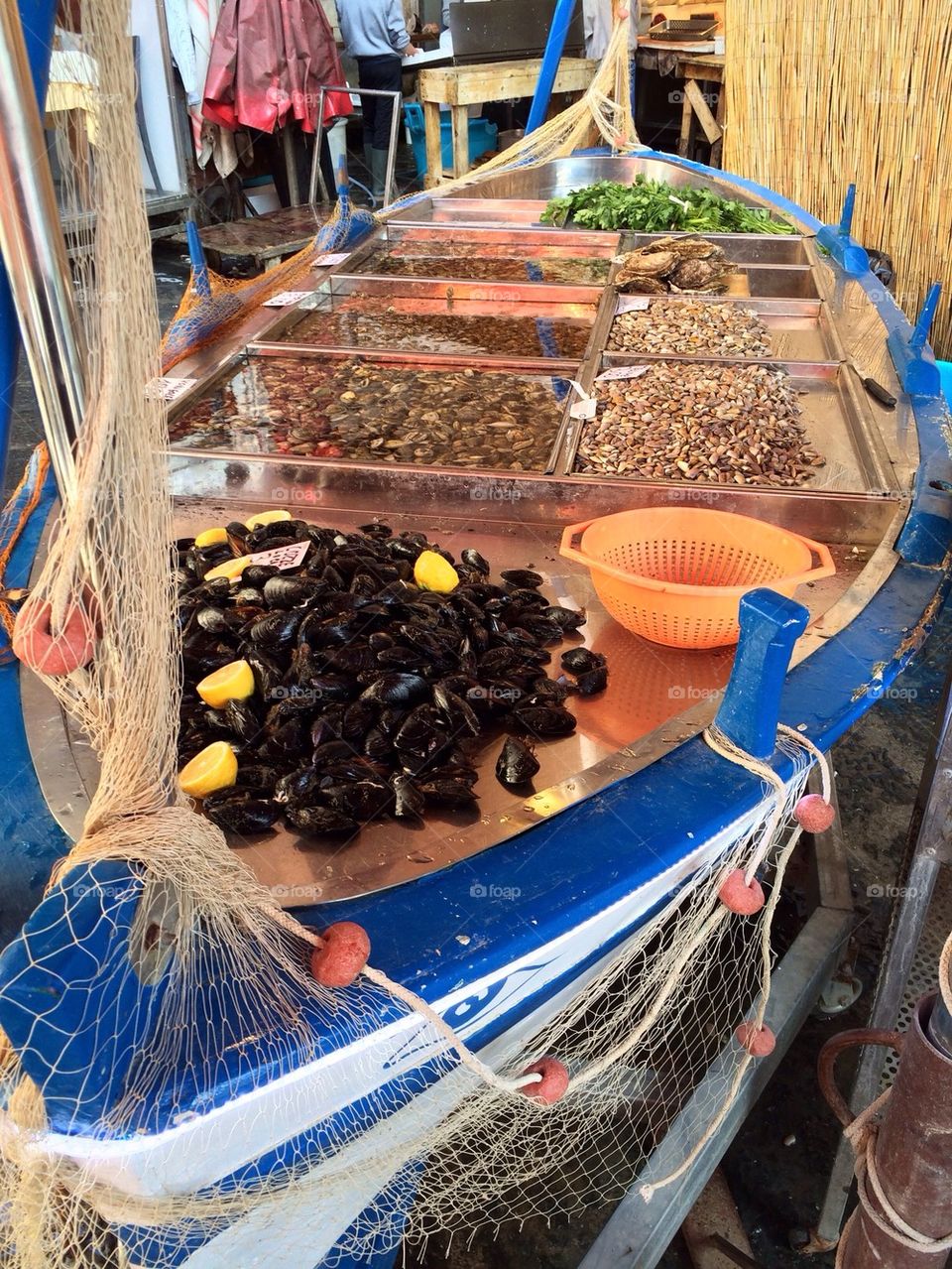 Fish market, exposition boat 