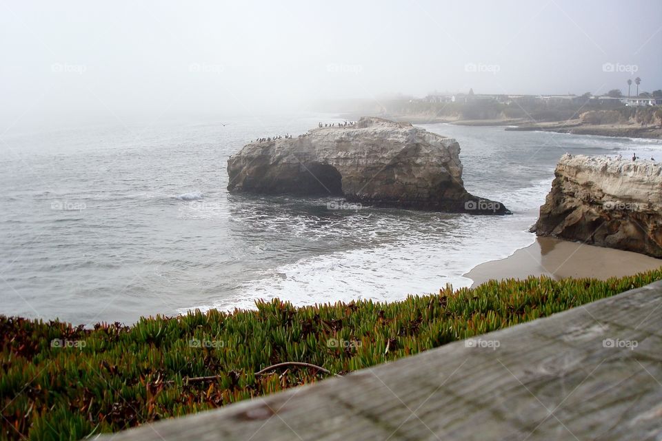 natural bridges in the fog