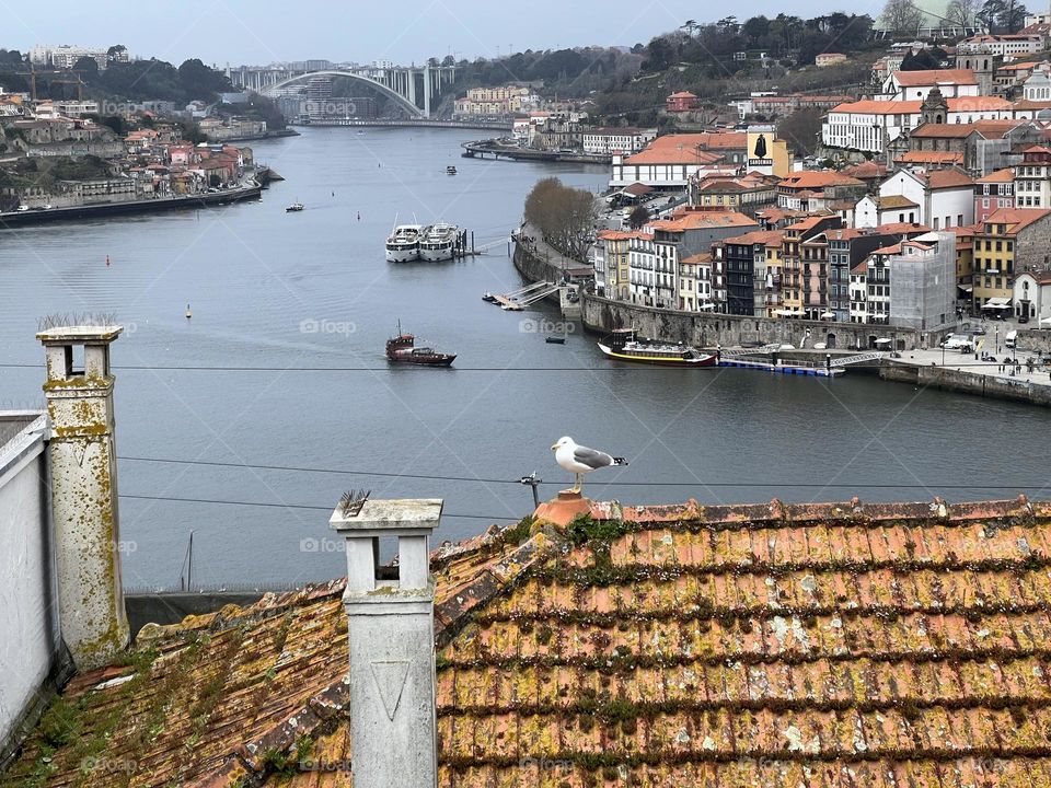 River through the city