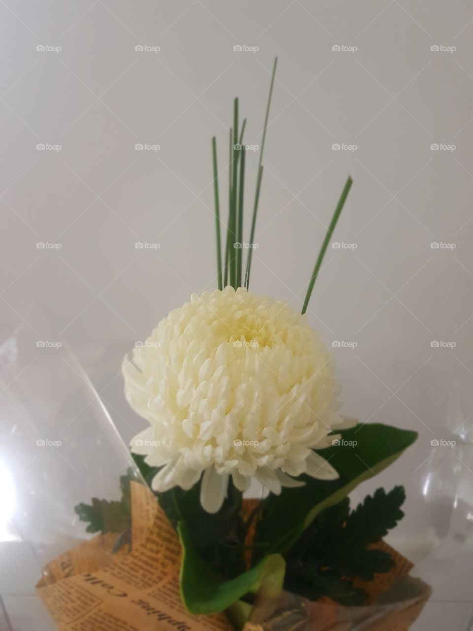 Single Bouquet Gift