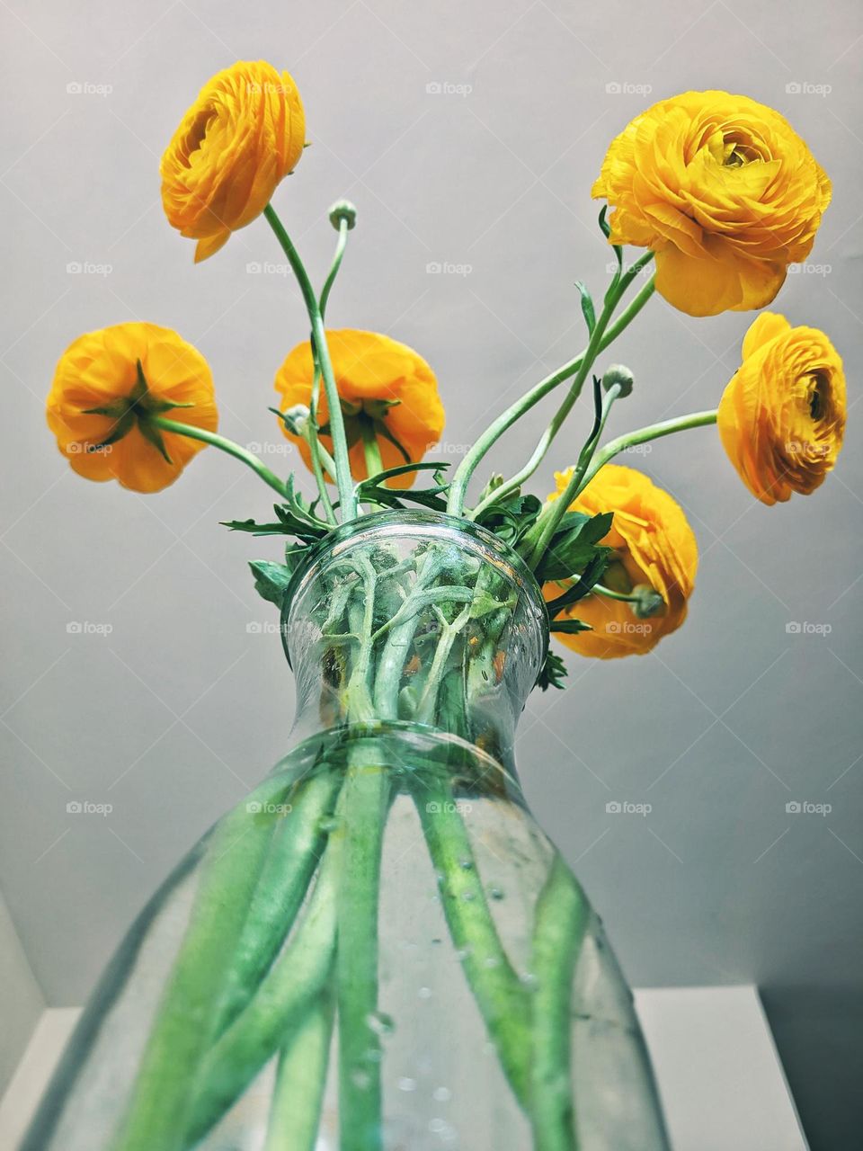 Top view of yellow blooming flowers in a vase at a cozy home. Ranunculus