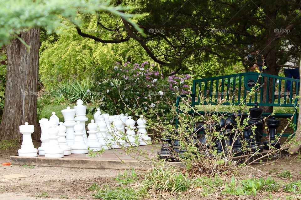 Chess game in the garden