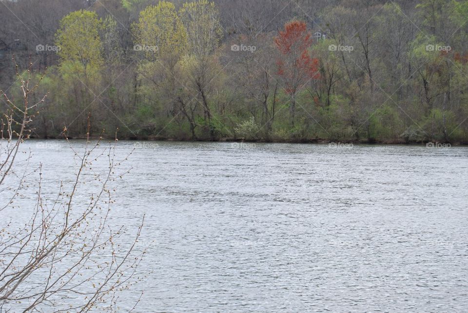 Chattahoochee River