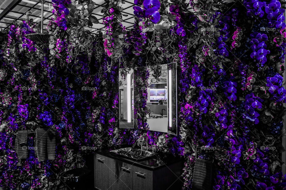 Purple Color Pop Bathroom
