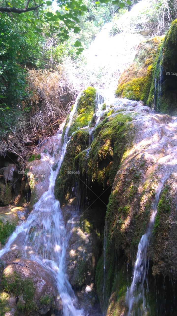 Waterfall, Water, Nature, Stream, Wood