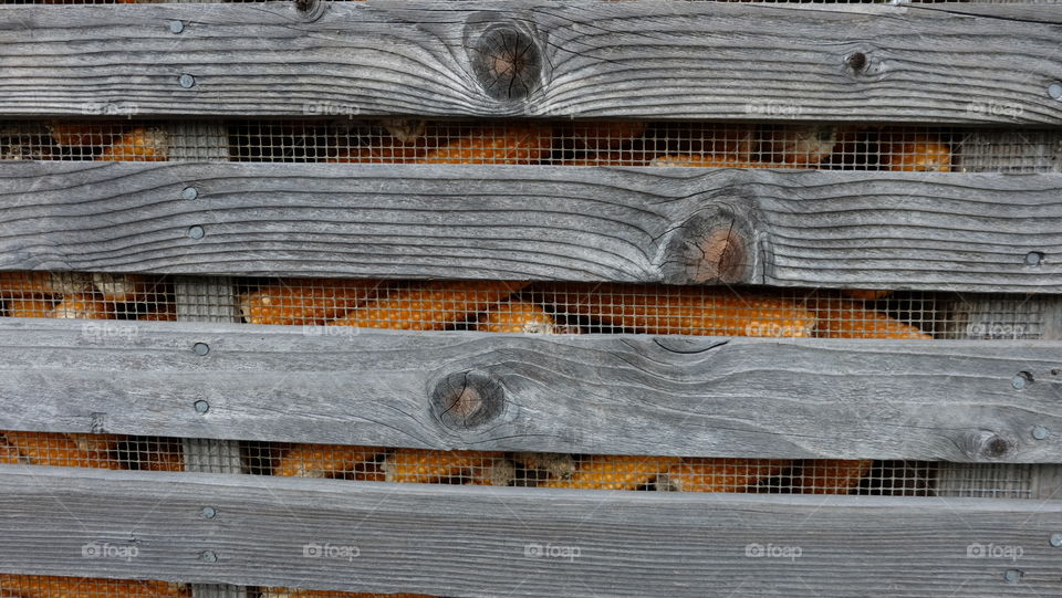 Drying corn