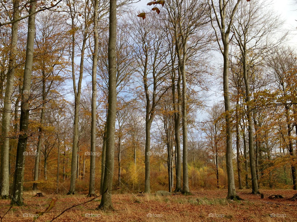 sweden autumn kullaberg skåne by cabday