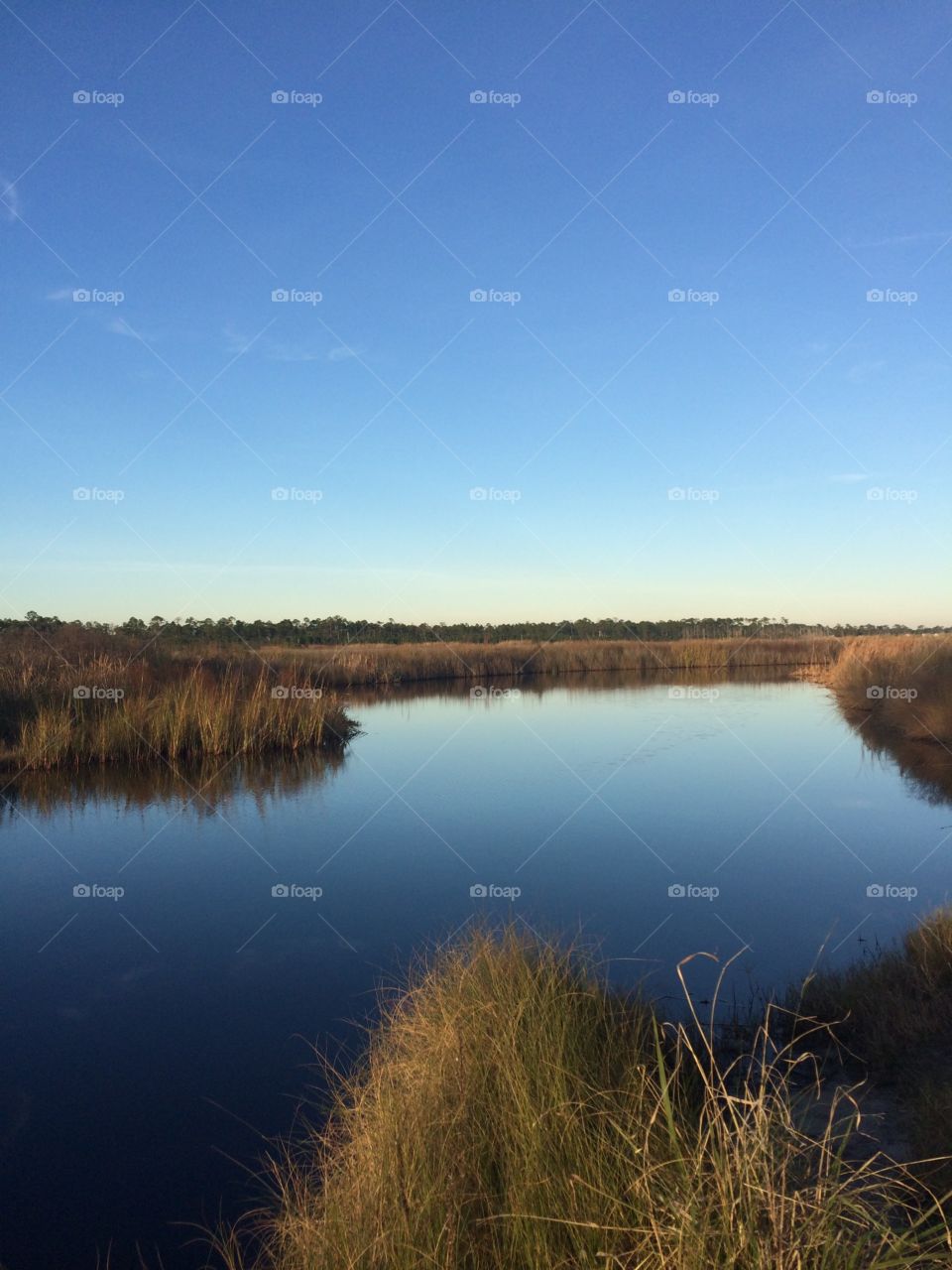Gulf State Park in Gulf Shores and Orange Beach Alabama features several acres of nature trails, fishing spots, camp sites, golf course, and even a bike trail plus more. Great place to camp near the beach 