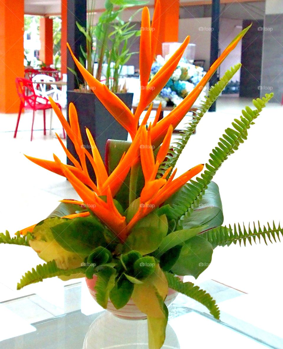 Close up of flower in vase on table glass