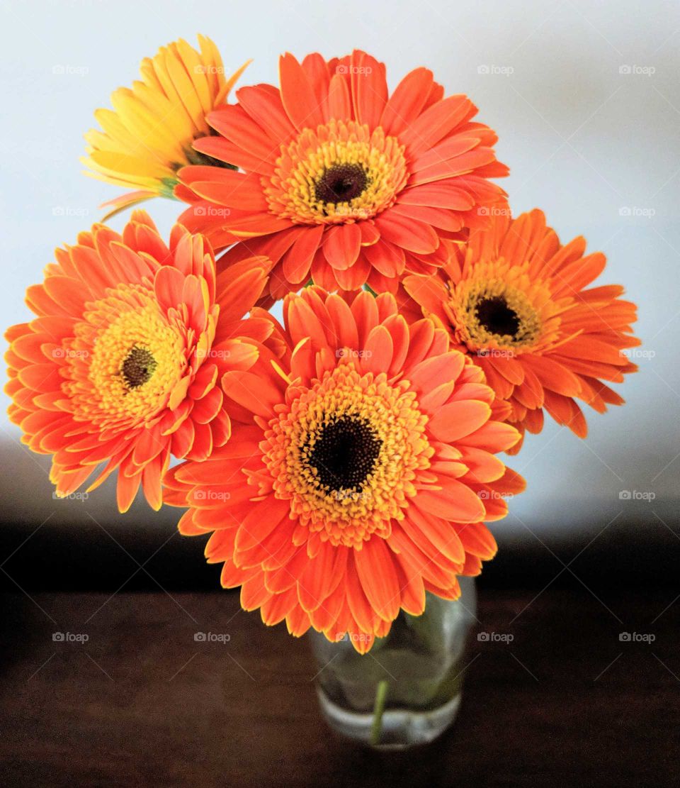 flowers inspired happiness