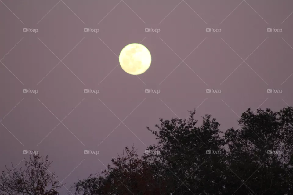 La Luna