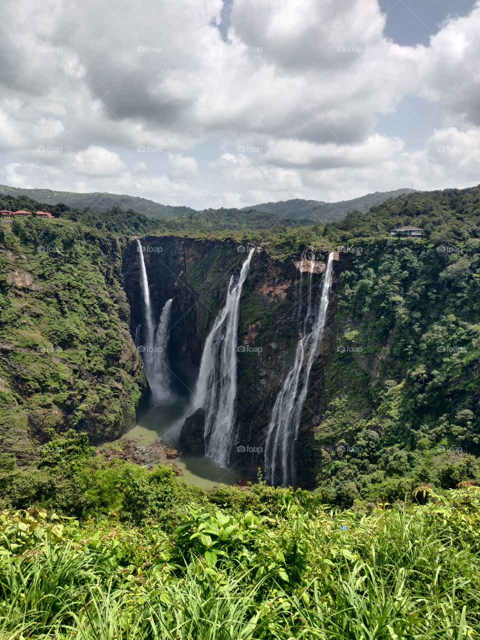 Green with water fall features