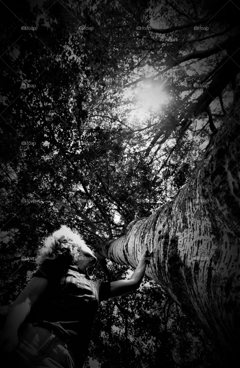 woman in dark forest with sunlight filtered trough the leafs of a huge birch lighting up her blond hair black and white picture