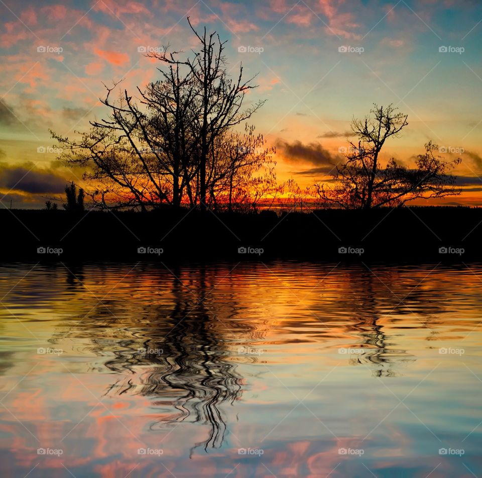 Silhouette of bare trees reflecting in the lake