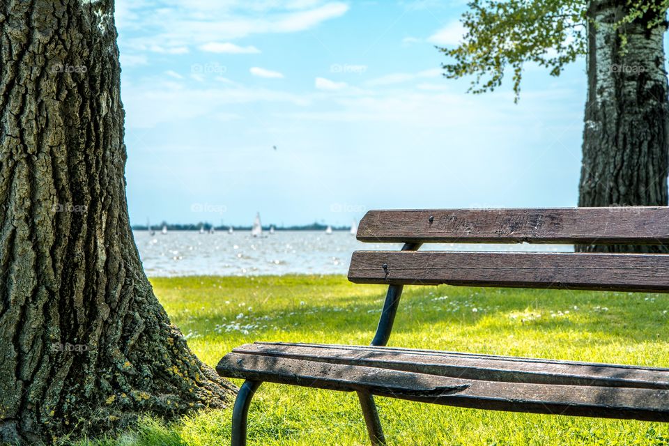 Close-up of wooden bench in park