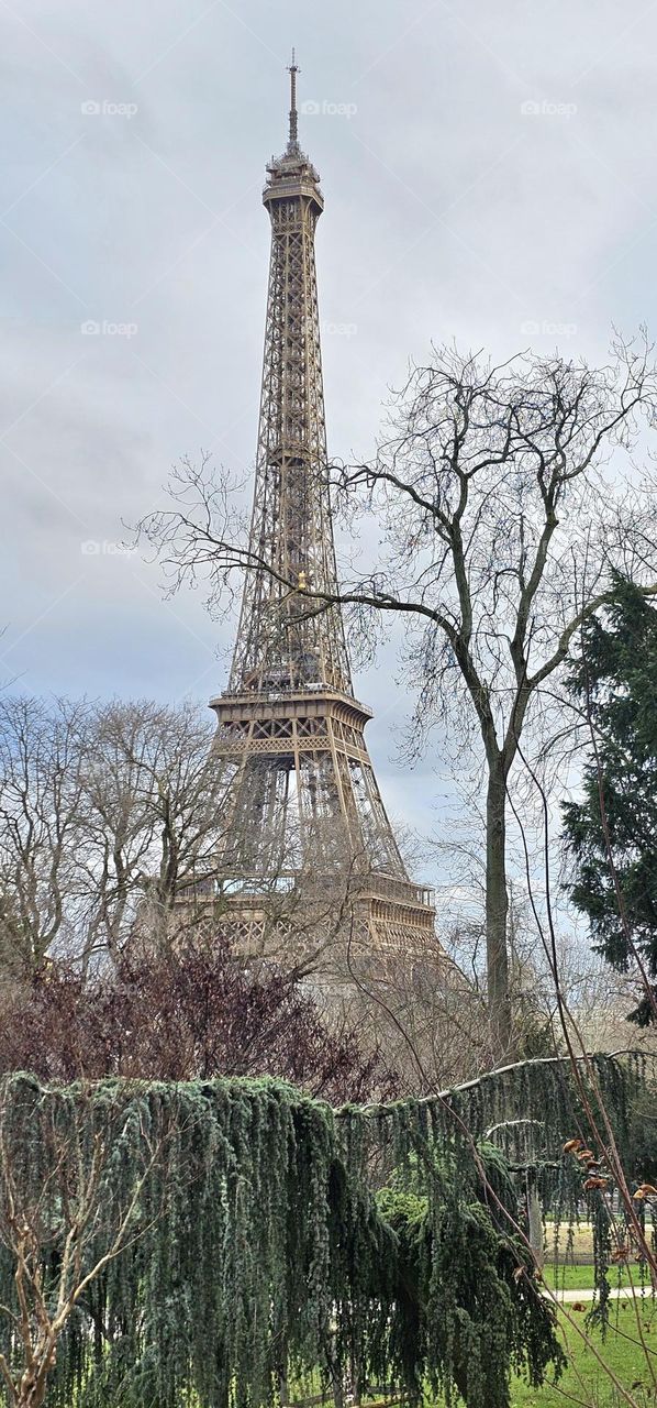 Tour Eiffel vue du Trocadero