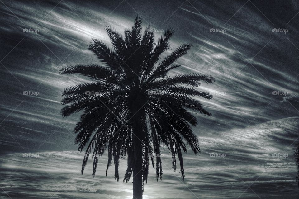 No Person, Beach, Ocean, Water, Sand